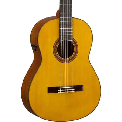 Yamaha Transacoustic Nylon String Cg Guitar image 5