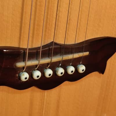 Washburn EA-2000 1999 - Natural image 13