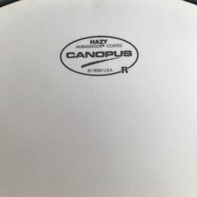 Canopus Yaiba 14x6.5" 2010's - gloss trans black image 2