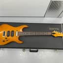 RARE! Hamer USA Vintage S 1992 American Case_268