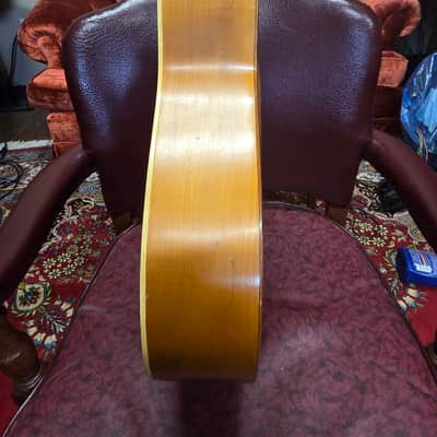Framus 5/195 Western Body Project 1960s image 6