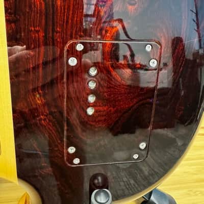 Alembic Series II - The Roman Conqueror 2004 - Cocobolo image 9
