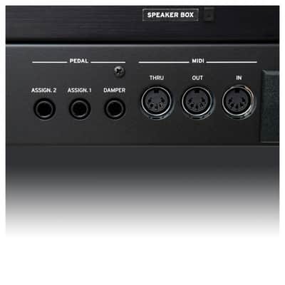 Korg Pa5X-76 EXDEMO image 16