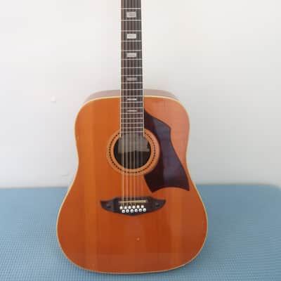Vintage 1960's Eko Rio Bravo XII Made in Italy 12 String Acoustic Guitar Works Great Solid Player Low Action Sounds Huge Vox image 19