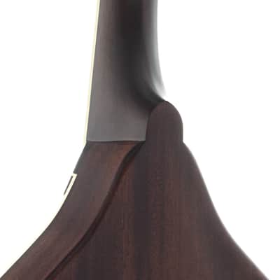Weber Bitterroot A20-O Octave Mandolin image 9