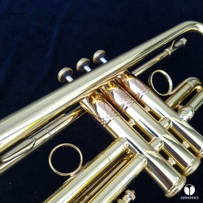 0.462 Mt Vernon Vincent Bach Stradivarius Lightweight STAR 25 trumpet case mouthpiece  gamonbrass image 20