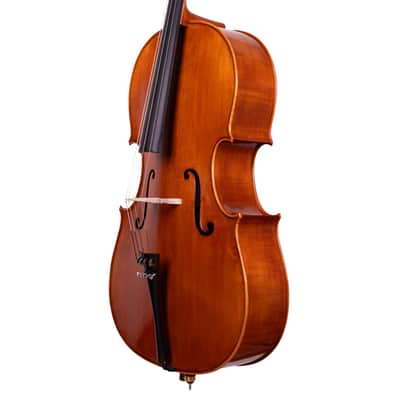 Testore Cello 4/4 from One Piece Back – Hand-Made in Romania 2025 #100 image 10
