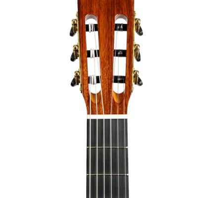 Antonio de Toledo "Ramirez" SP Elevated Fretboard image 14