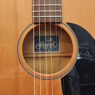 Seagull 6 Acoustic Guitar Late 80's Handmade in Canada w/ Original Schaller Tuners image 3