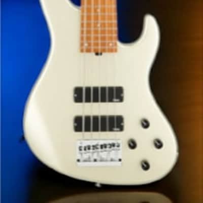 Sadowsky MetroExpress 5-String 24-Fret Modern Bass Roasted Maple Fingerboard 5-String High Polish, Solid Champagne Metallic High Polish image 2