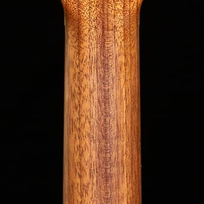 Martin D-X2E Burst Sitka/Ziricote (874) image 6