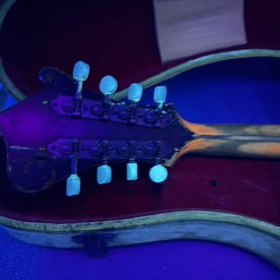 Gibson F-2 1918-1920's - Sunburst #SR-11-24 image 18