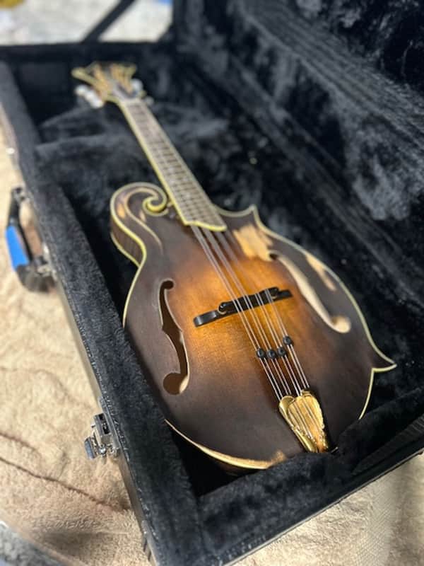 Hamlett F model