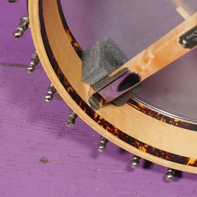 2010s Eastman Whyte Laydie-Style 5-String Openback Banjo (VIDEO! Fresh Work, Ready) image 14