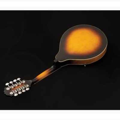Washburn M1S-A | A-Style Mandolin with Solid Spruce Top. New with Full Warranty! image 5