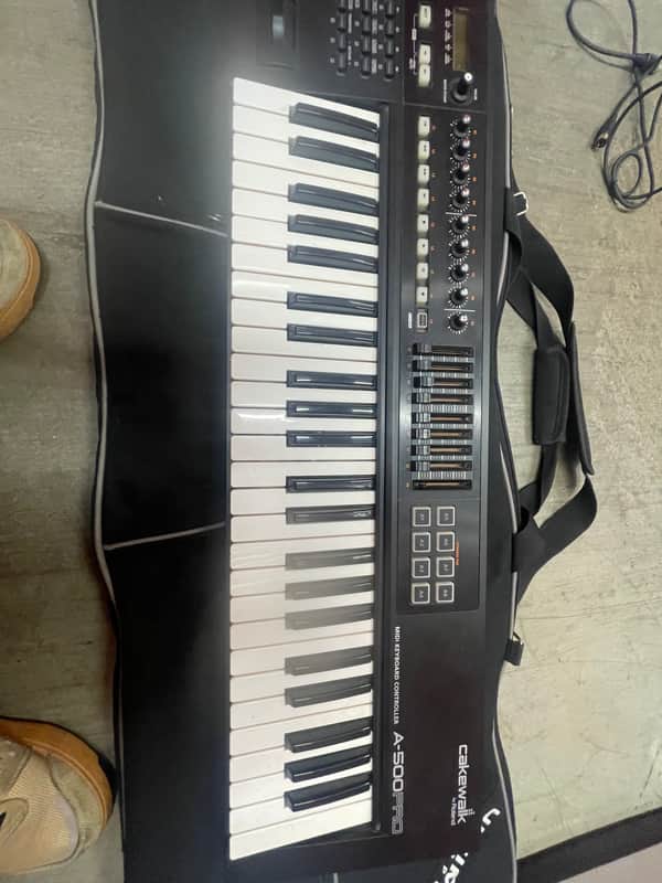 Roland A-500PRO 49-Key MIDI Keyboard Controller 2010 - Present - Black image 1