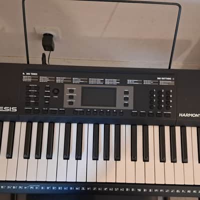 Alesis Harmony 61 MKII Portable Keyboard 2016 - 2022 - Black image 2