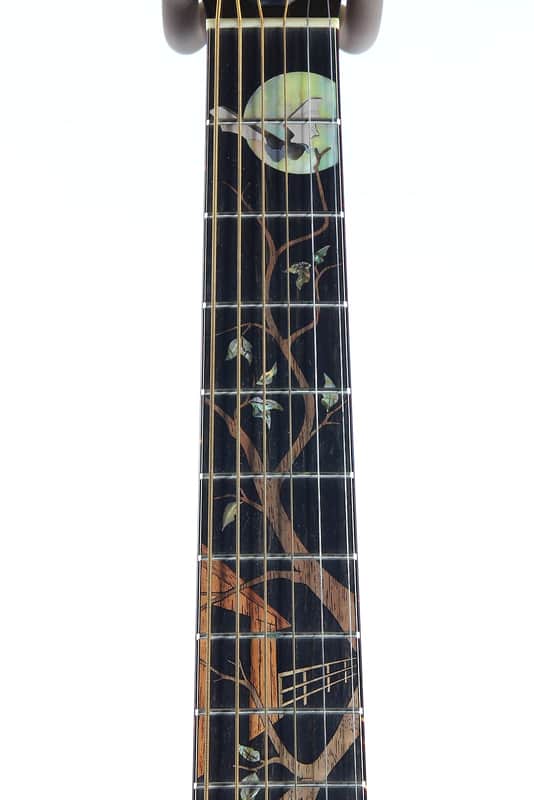 Taylor Cujo-10 Dreadnought image 4