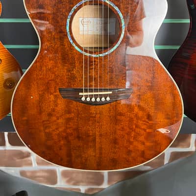 Faith FX Neptune FNCE-DNG Cutaway Deep Natural Gold 2020 Electro-Acoustic image 4