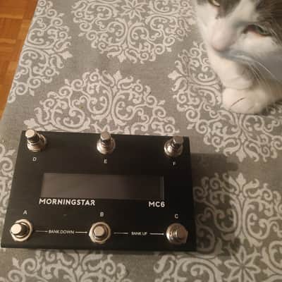 Morningstar MC6 MkII image 1