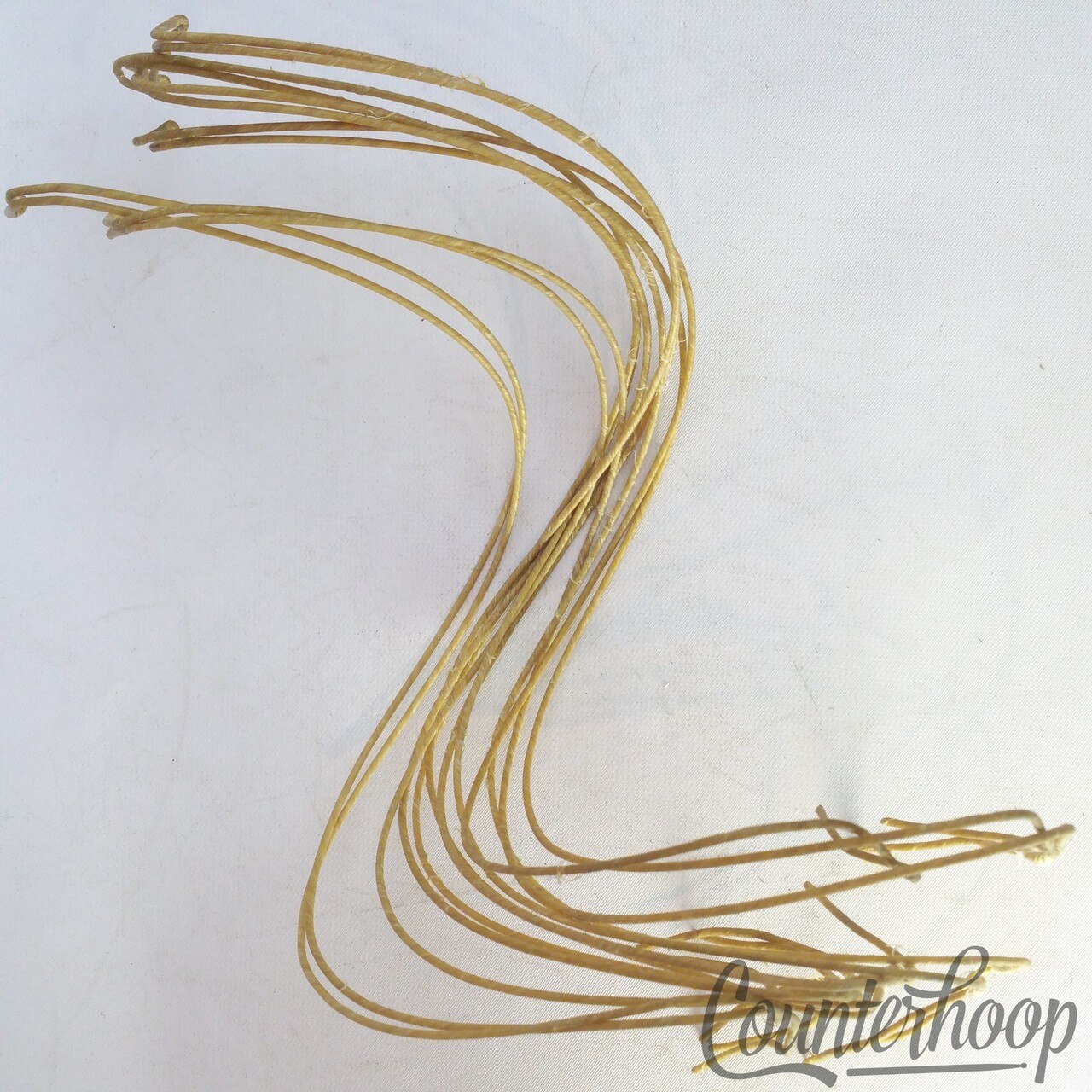 Ludwig 16" Catgut(Sheep)Natural Snare Drum Wires/12x Strands Vintage 20s Cat Gut — main photograph