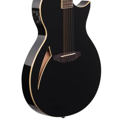 ESP LTD TL-6 Thinline Acoustic Electric Guitar Black image 9