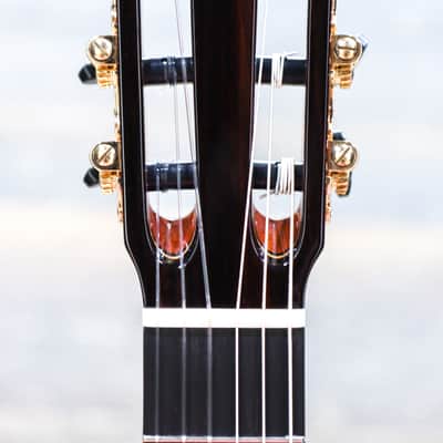 Cordoba C10 CD Lefty Luthier Series Solid Cedar Top Classical Guitar w/Case image 5