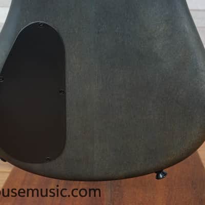 Immagine Spector Euro 5 LX - Trans Black Stain Matte - 13