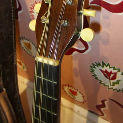 Ditson "Empire" Bowl Back Mandolin 1920s - Natural w/ Crazy Original Case! image 3