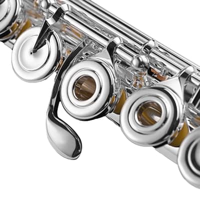 Di Zhao DZ801BOF (700 Series) Solid Silver Flute - Offset G, B Foot image 6
