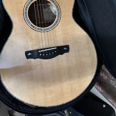 Kevin Ryan Nightingale Soloist 2019 - Larry Robinson Inlay artwork image 5