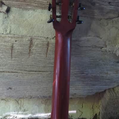 Stella Regal 1/4 sawn Oak Concert  Circa 1918-1920 image 10