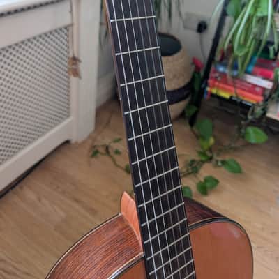 Cordoba C7 Classical Guitar image 6