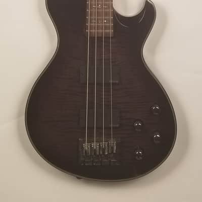 Schecter Diamond Series Damien Solo Elite 4-String Bass Guitar 2010 image 1