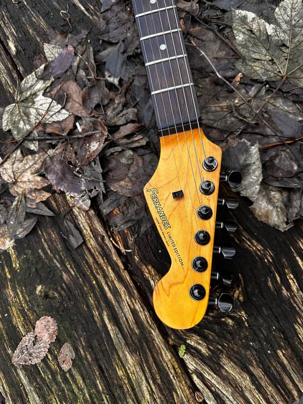 Fernandes STC-50 / Allan Holdsworth 1986 | Reverb Canada