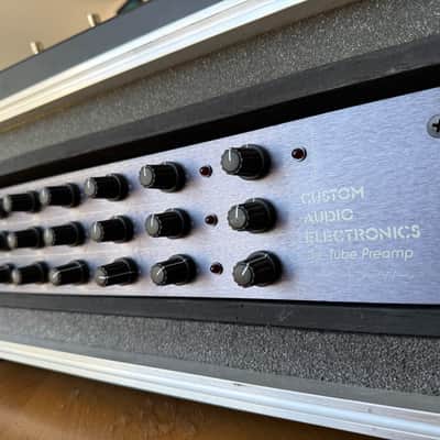 Custom Audio Electronics 3+ 90’s - Grey with road case image 4