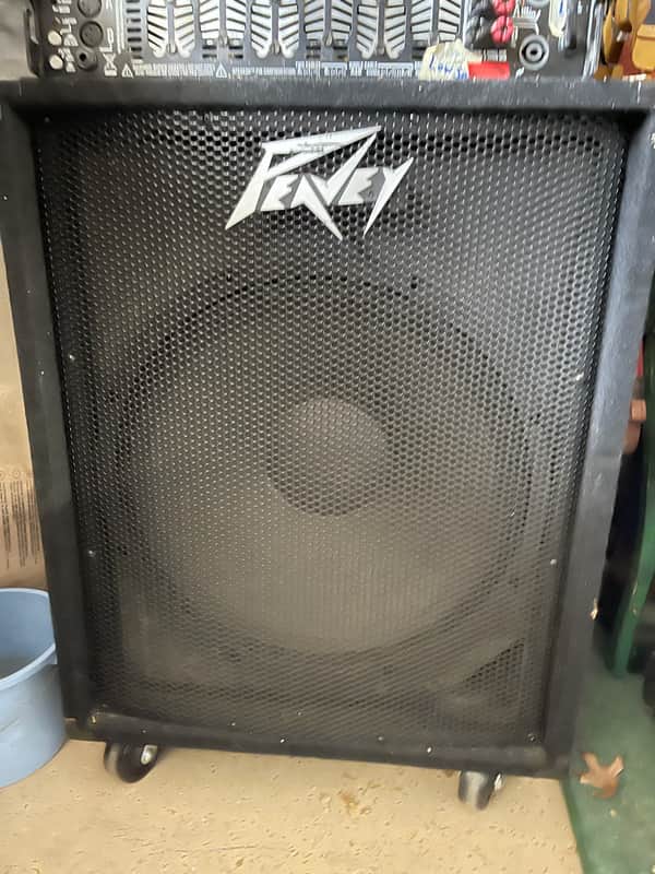 Peavey PV-118 image 1