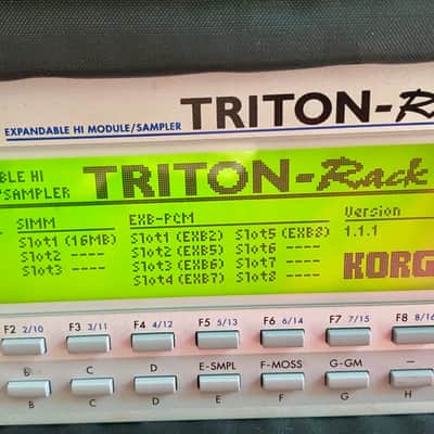 Korg Triton-Rack inc. 5 EXPANSION BOARDS & RACK BAG imagen 2