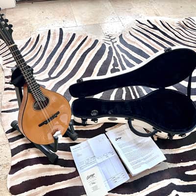 Collings MTO 2020 - Honey Amber Gloss top image 24
