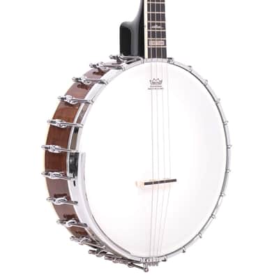 Gold Tone IT-250 Vintage-Style Armrest Maple Neck Openback 4-String Irish Tenor Banjo w/Hardshell Case image 1