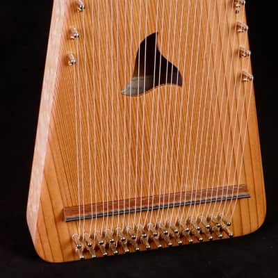 James Jones Two and Half Octave Alto Bowed Psaltery 7/8" w/ soft case #14 image 4