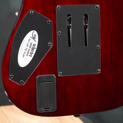 Schecter Hellraiser C-8 FR - Black Cherry (BCH) (1824) image 11