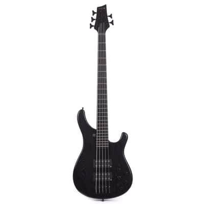 Sandberg Basic Ken Taylor 5-String Matte Black image 4