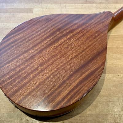 Levin Model 158 1968 - Natural Gloss image 7