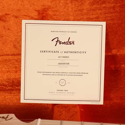 Fender Artist Series Eric Clapton Stratocaster Pewter image 7