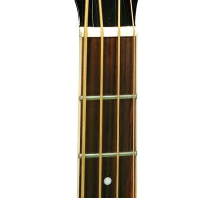 Gold Tone Paul Beard Signature Series PBB Roundneck Resonator Bass Guitar w/Case image 2