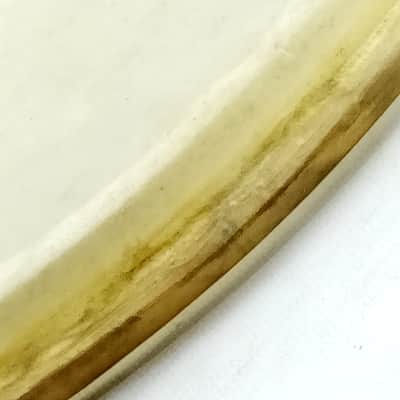 Wilson 14" Economy Resonant Calf Skin Snare Drum Head Vintage Early American 20s image 5