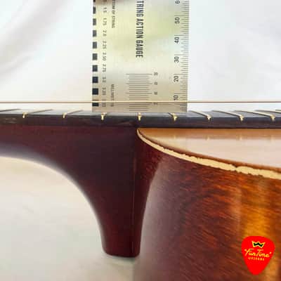 1930s Supertone No. 13411 “Palm Beach” Hawaiian Stencil Guitar – “Palmer” image 14