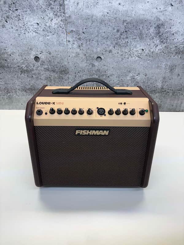 Fishman PRO-LBT-500 Loudbox Mini with Bluetooth 2-Channel 60-Watt 1x6.5" Acoustic Guitar Amp 2019 - Brown image 1