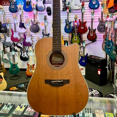Takamine GD20CE-NS Acoustic-Electric Guitar - Natural Satin image 1